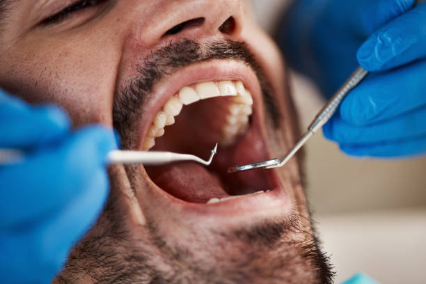 Best Mobile Emergency Dentist in Pinckney, MI